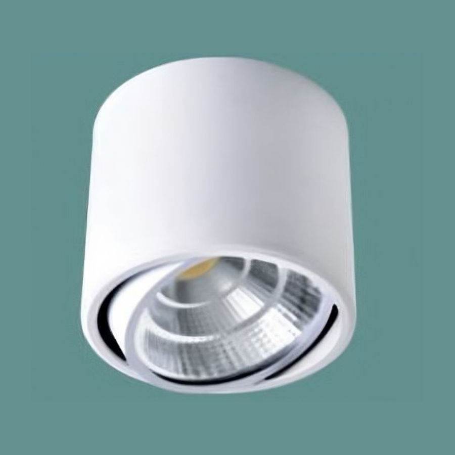 Đèn Chiếu Sáng Led SN-LN5320