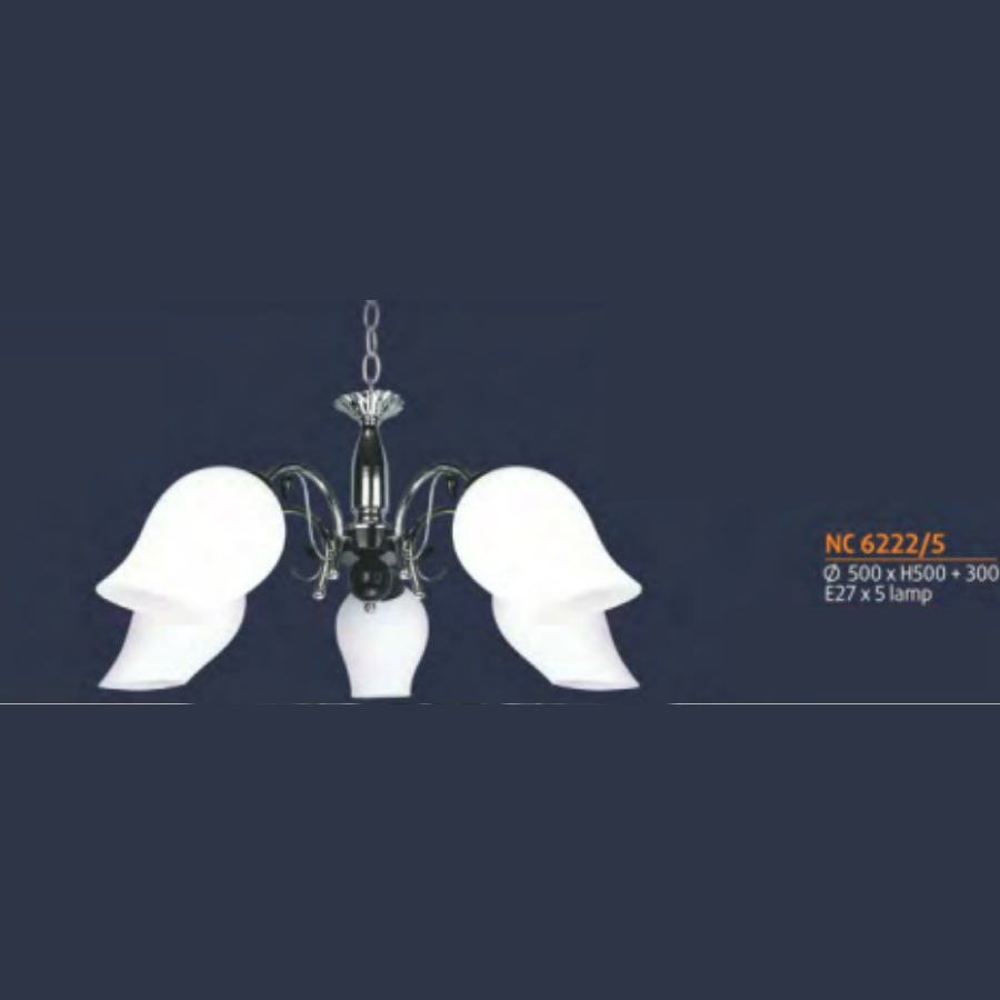 ĐÈN CHÙM NL-NC 6222T5