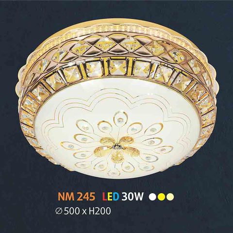  Đèn ốp trần đồng NL-NM245 
