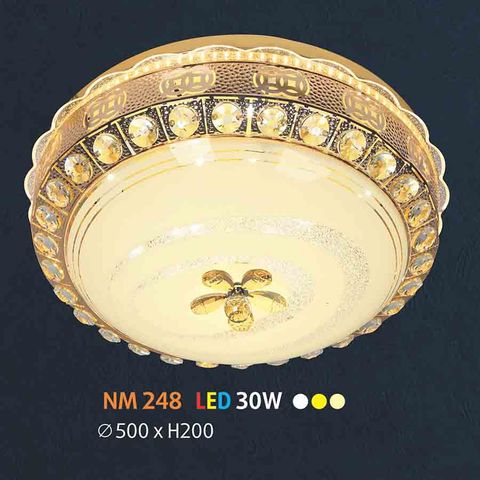  Đèn ốp trần đồng NL-NM248 