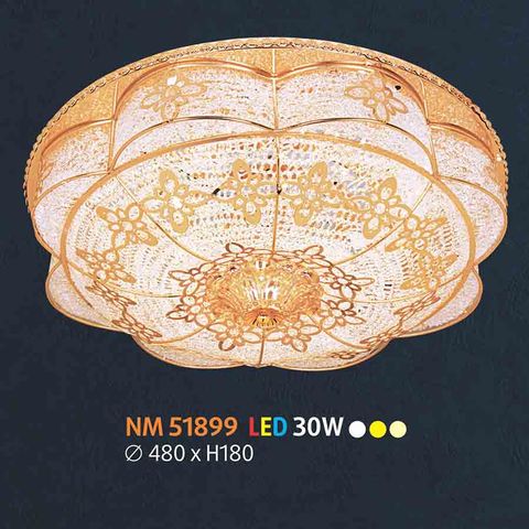  Đèn ốp trần đồng NL-NM51899 
