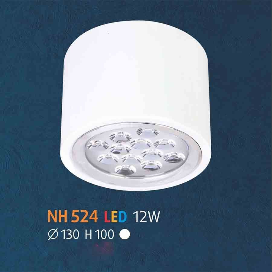 Đèn chiếu sáng - led NL-NH524