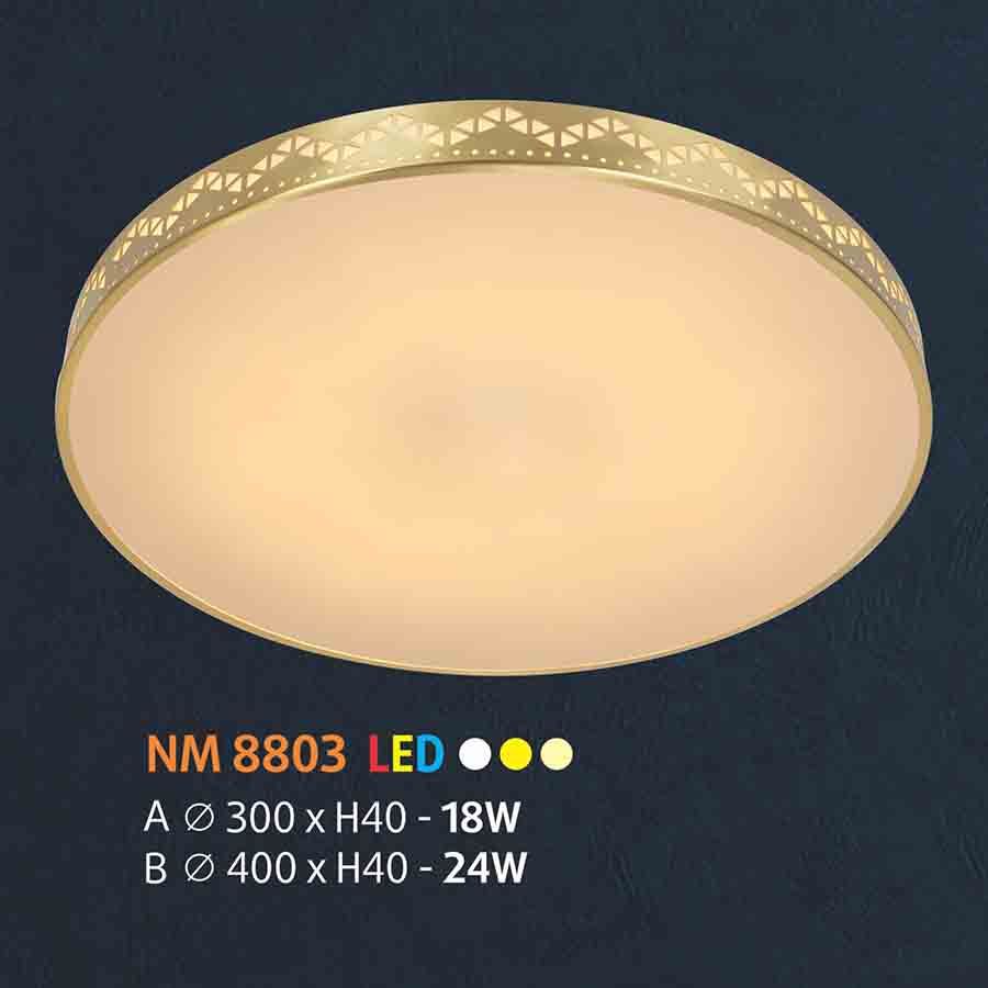 Đèn ốp trần đồng NL-NM8803