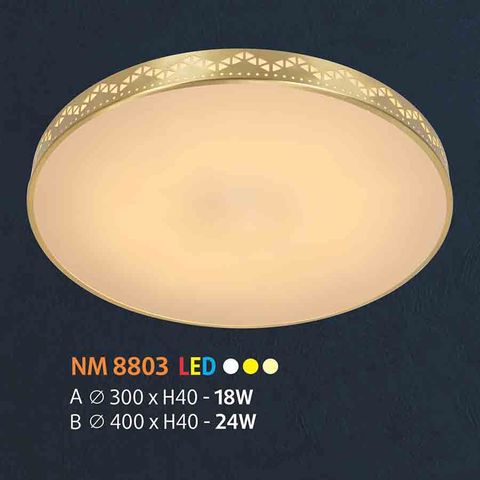  Đèn ốp trần đồng NL-NM8803 