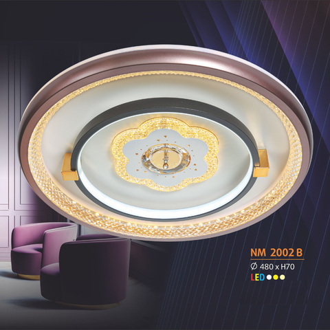  Đèn ốp trần Mica NL-NM 2002 
