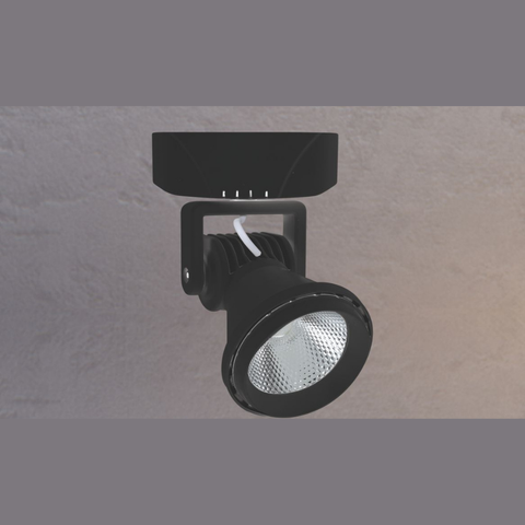  ĐÈN RỌI TRANH NL-NP 06B 