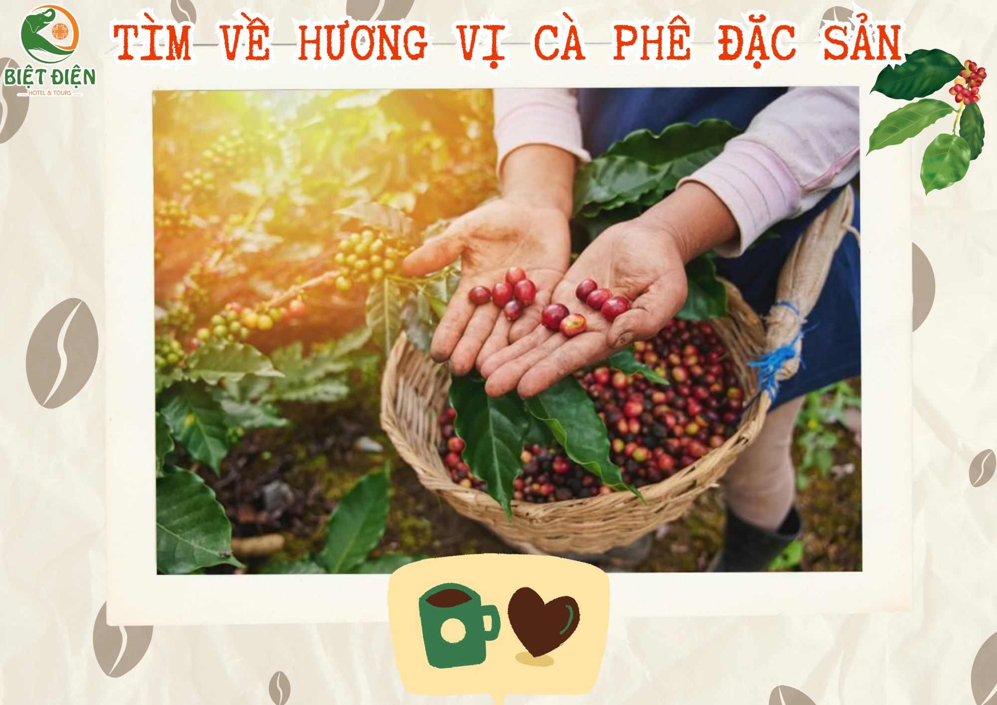  Tìm Về Hương Vị Cà Phê Đặc Sản 