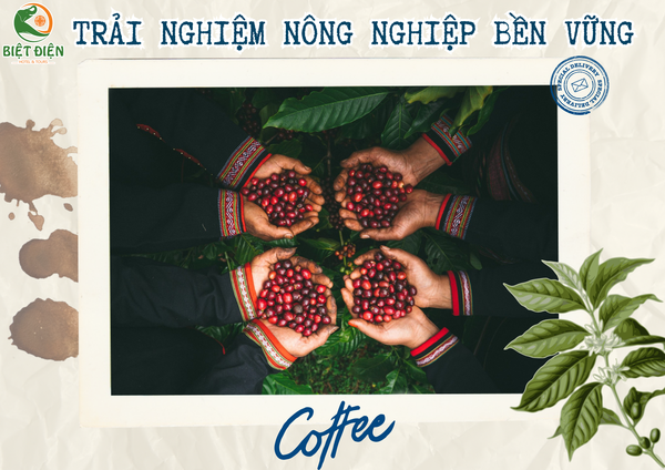  Trải Nghiệm Nông Nghiệp Bền Vững 