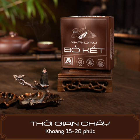  Nhang nụ Bồ Kết 