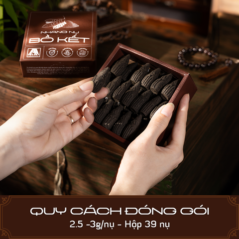  Nhang nụ Bồ Kết 