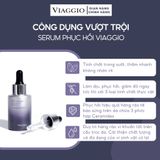  Combo sạch mụn phục hồi chuyên sâu chăm sóc da sạch khỏe VIAGGIO (Serum ngừa mụn + Serum phục hồi + Kem dưỡng phục hồi) 