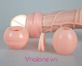  Bộ bao đôn tăng kích thước quy đầu ForeSkin (BD10H) 