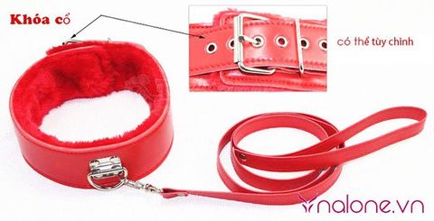 Bộ đồ chơi bạo dâm 7 món màu đỏ QT07