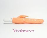  Dương vật giả silicone loại nhỏ có rung Baile (DV011) 