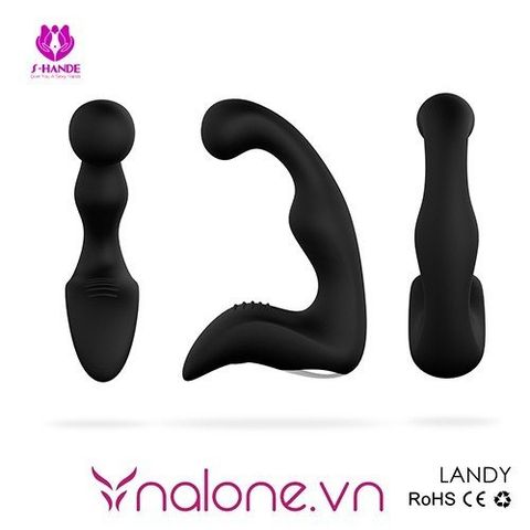 Máy massage hậu môn và tuyến tiền liệt Landy RCT chính hãng