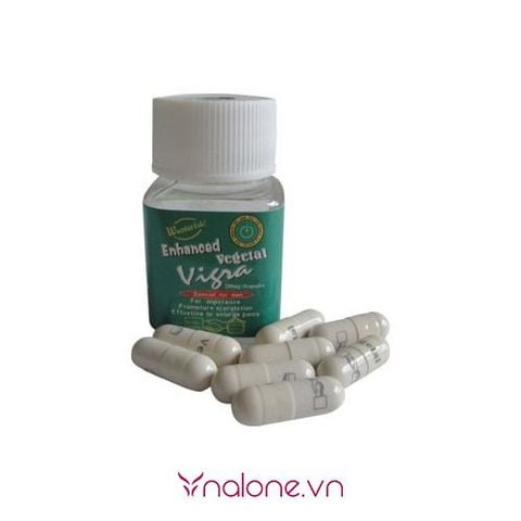 Thảo dược cường dương tăng sinh lý Vegetal Viagra