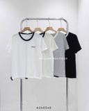  Áo thun cổ phối màu Barnnet 1515 