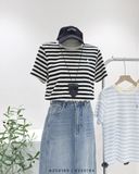  Áo thun kẻ sọc thêu ngựa 6822 