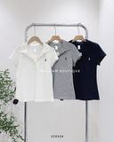  Áo thun polo thêu ngựa 3893 