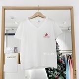  Áo thun giấy cổ tim MAPLELE 1059 