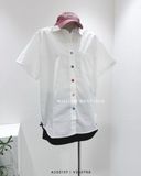  Áo sơ mi trắng nút màu TN 8100 