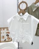  Áo SM đệm vai nhún 2126 