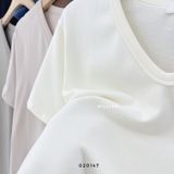  Áo thun trơn cổ tim 7915 