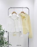  Áo sơ mi cotton gân G 6029 