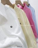  Áo sơ mi cotton gân G 6029 