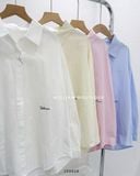  Áo sơ mi cotton trơn thêu chữ 6042 