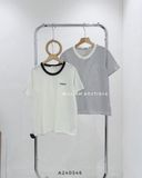  Áo thun cổ phối màu Barnnet 1515 