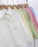  Áo sơ mi cotton gân thêu F 5549 