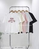  Set bộ thu COLLETE 880 