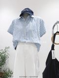  Áo sơ mi tay ngắn sọc xanh thêu 6079 