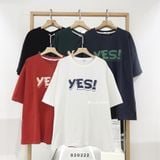  Áo thun YES! 1750 