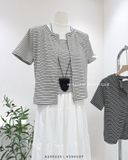  Set áo thun sọc khoá kéo 768 