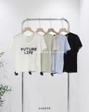 Áo dệt kim FUTURE LIFE 3617 
