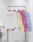  Áo sơ mi cotton gân G 6029 