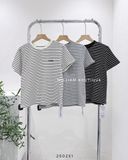  Áo thun kẻ sọc thêu chữ 9602 