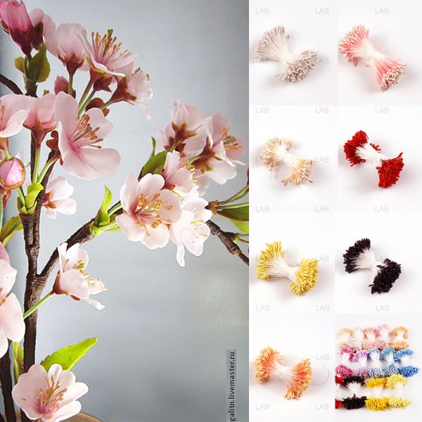  Nhuỵ hoa giả hình giọt nước #010602 