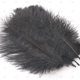  Lông đà điểu size 21-25cm #021201 