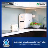  Máy Lọc Nước RO mintech A. O. Smith E2 