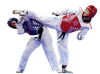Giáp thi đấu Teakwondo VTF (Body)
