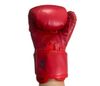 Găng Boxing 6Oz ( Dành cho trẻ em )