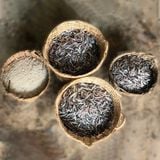  Nước mắm nhỉ cá cơm than Làng Chài Xưa, Thùng 6 chai 525ml Đặc Biệt Thanh Dịu An toàn (chai) 