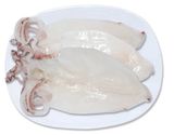  Mực Lá Một Nắng Size Lớn (1kg) 