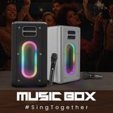  Loa Karaoke di động HiFuture MusicBox 100W (Kèm 2 Micro wireless) 