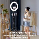  Đèn Livestream RTAKO AR-GTB01 Ring Light (18/22 inches, Ring Light with 3 Phone Holders) 