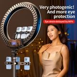  Đèn Livestream RTAKO AR-GTB01 Ring Light (18/22 inches, Ring Light with 3 Phone Holders) 