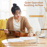  Quạt Cầm Tay Mini ROCK Air Bubble (10H, 2000mAh, 3-Speed Gear) 